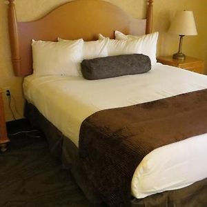 Standard Room King Bed or Two Queen Beds